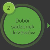 Dobór sadzonek i krzewów w ogrodzie